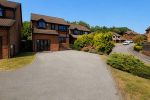 Front Aspect- click for photo gallery